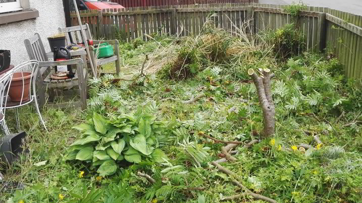 blog image